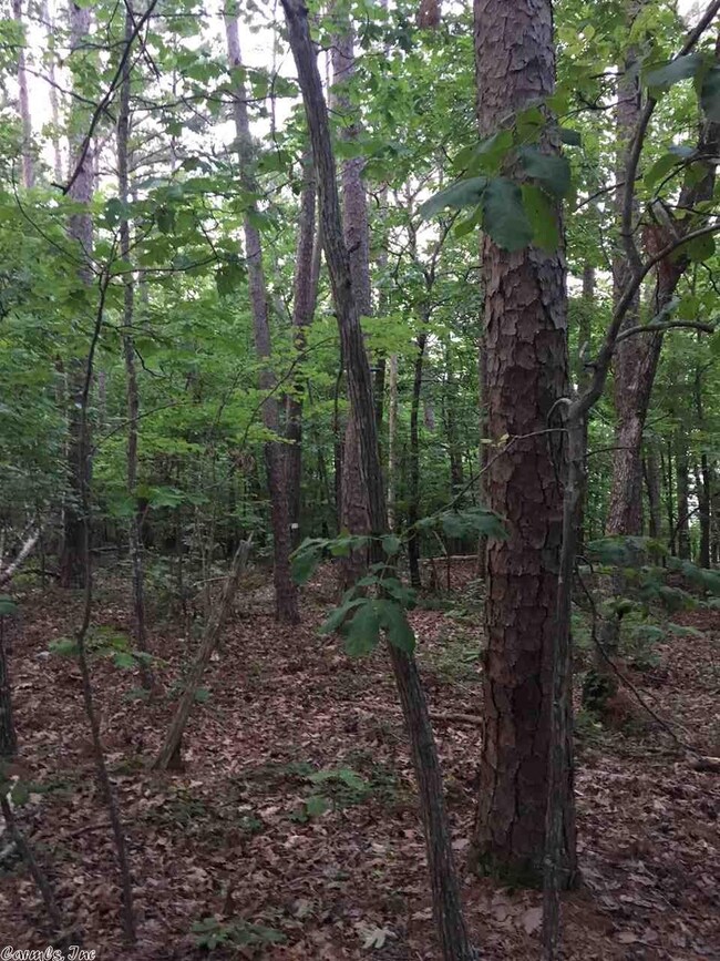 00 Lake Cliff Rd, Higden, AR 72067 - photo 4