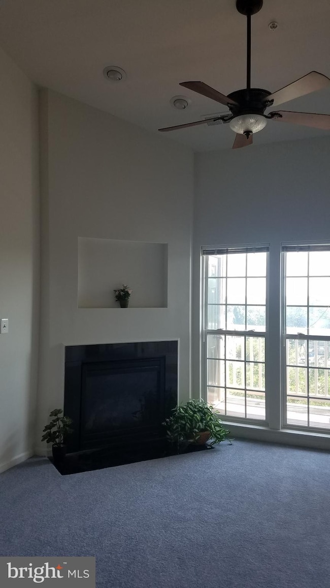 7250 Darby Downs unit Q, Elkridge, MD 21075 - photo 4