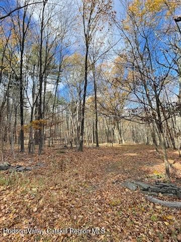 IMG_5269_1762470559192