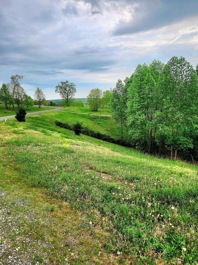 0 Sunset Cir unit 1517629, Jasper, TN 37347 - photo 7