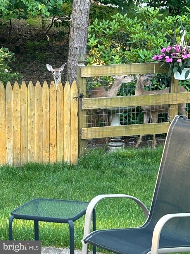 8 Prince Charles Ct, Marlton, NJ 08053 - photo 7