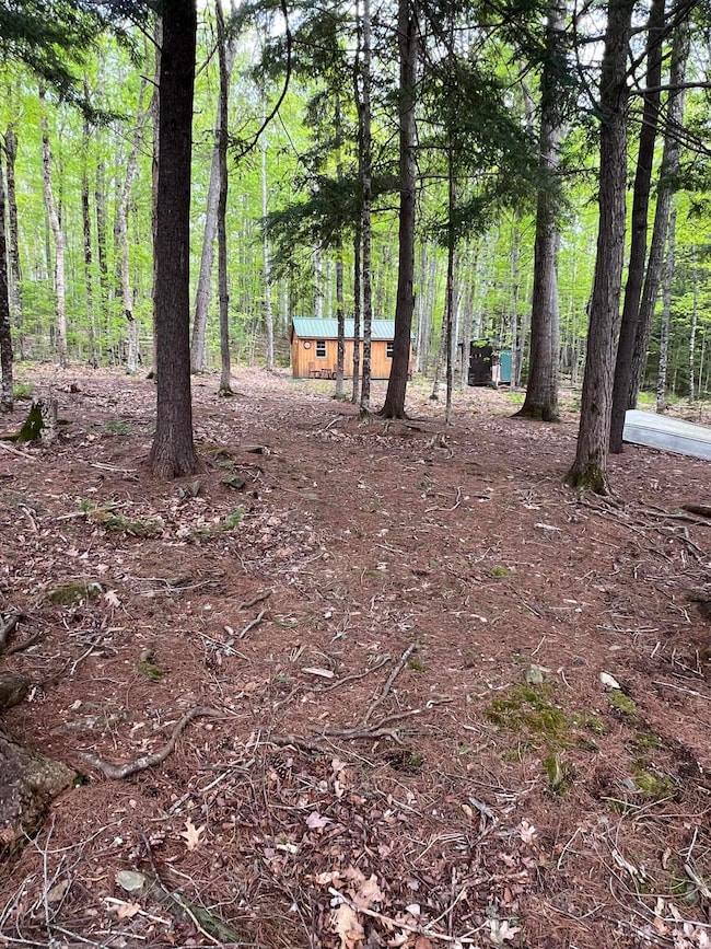 Front area 1