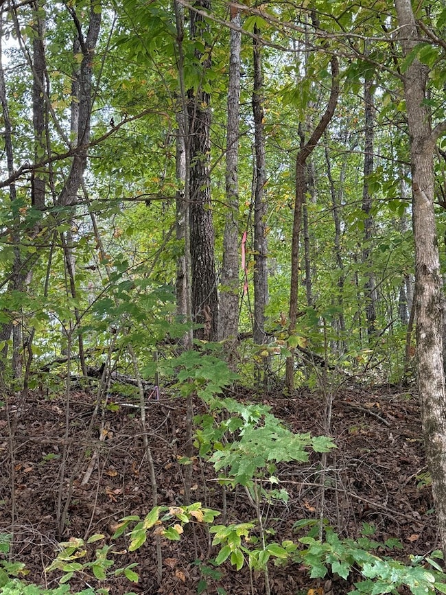 0 W Laurel Way unit RTC3014613, Monterey, TN 38574 - photo 3