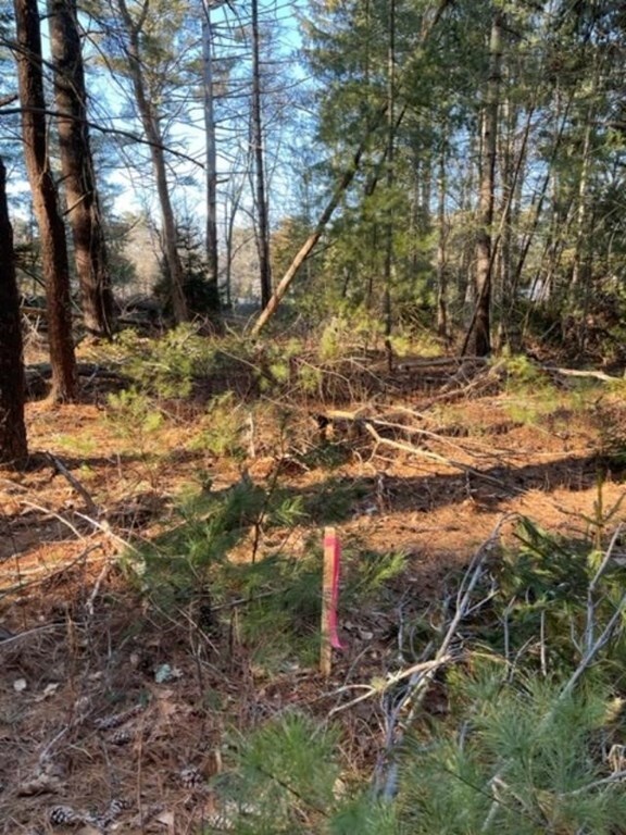 0 Tobia Way unit 73156456, Wareham, MA 02571 - photo 5