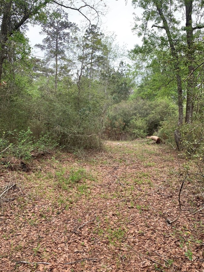 00001 Coe Loop, Magnolia, TX 77355 - photo 4