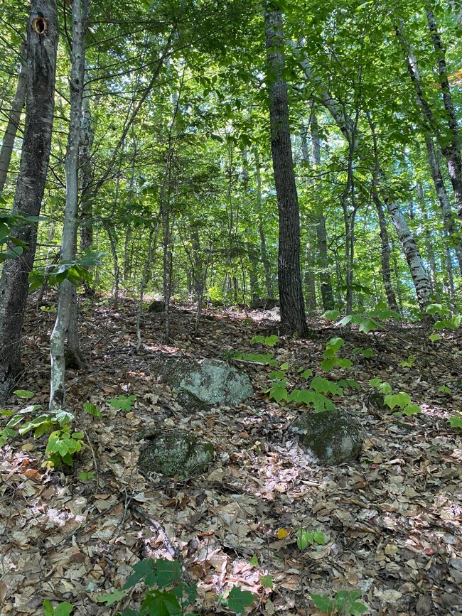 16 Malcolm Rd S, Bridgton, ME 04009 - photo 5