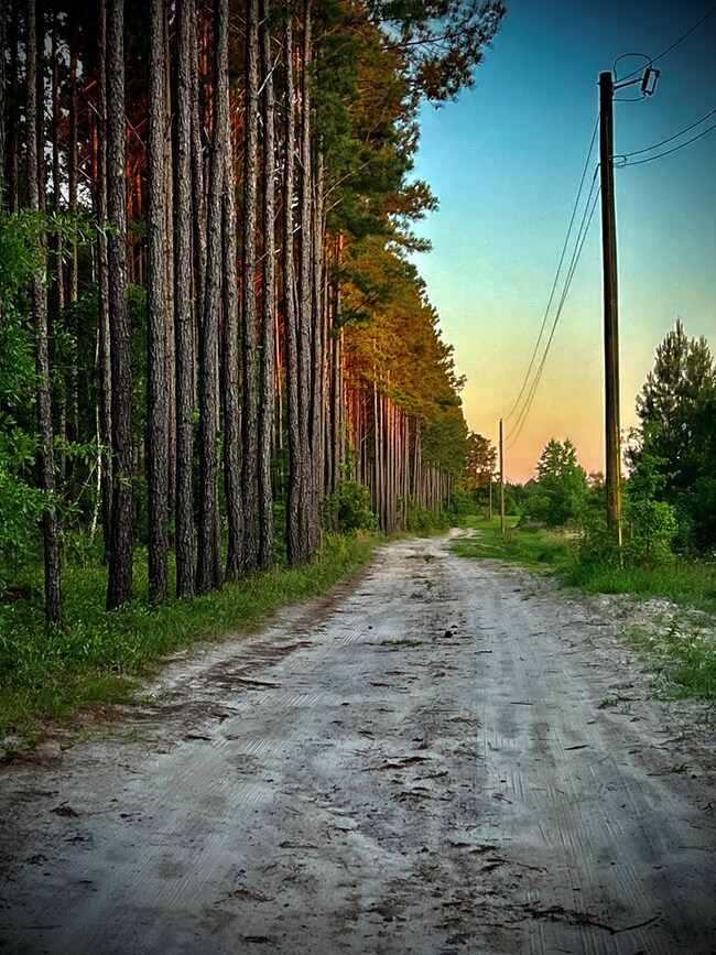 1739 Snellbridge Rd, East Dublin, GA 31027 - photo 7