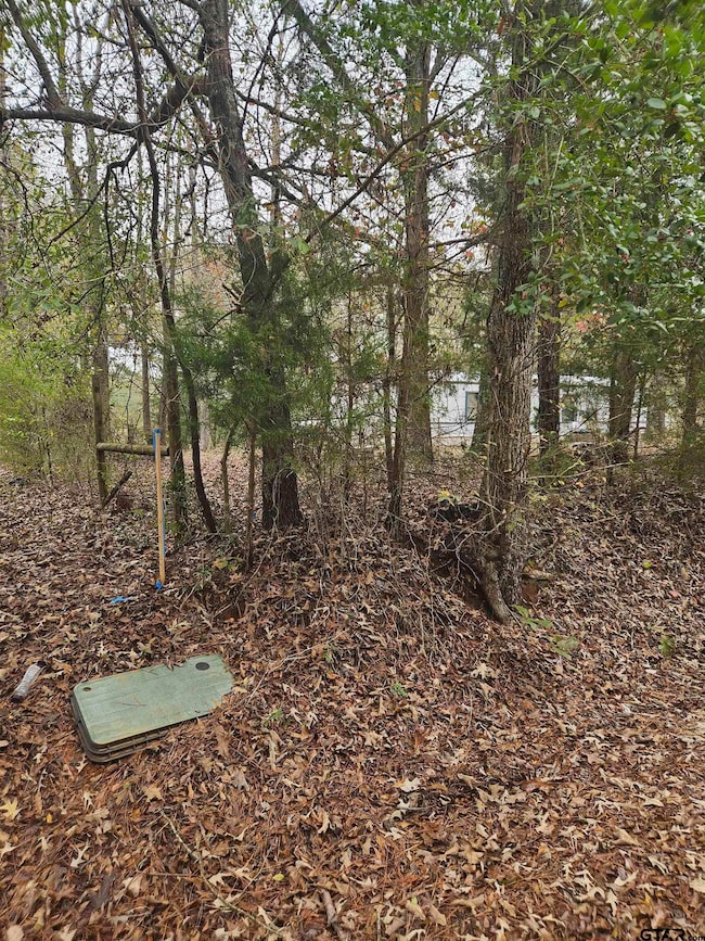 644 County Road 1519, Jacksonville, TX 75766 - photo 4