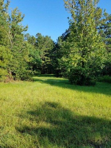 36 Clifton Seal Rd, Picayune, MS 39466 - photo 4