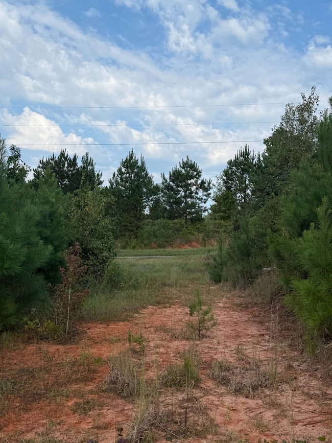 9230 Blizzard Rd, Meridian, MS 39305 - photo 7