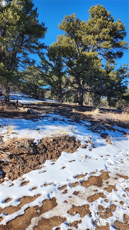 TR-82 35th Trail, Cotopaxi, CO 81223 - photo 6