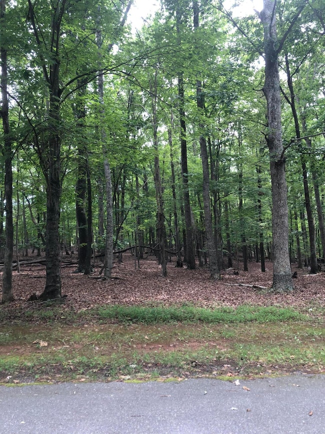 Lot 232 Lake Front Cir, Penhook, VA 24137 - photo 2