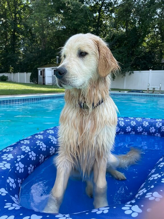 11 Mohawk St, Danvers, MA 01923 - photo 3