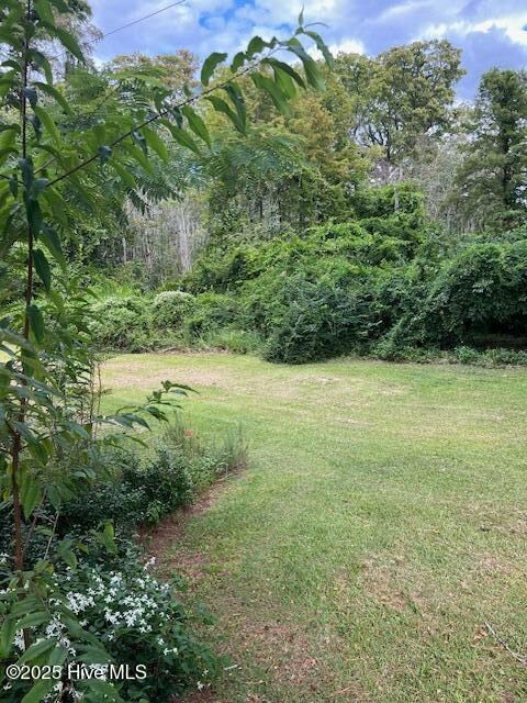 220 River Rd, Washington, NC 27889 - photo 4