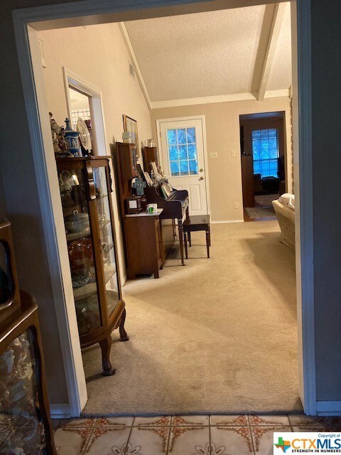 7666 McGregor Park Rd, Temple, TX 76502 - photo 4