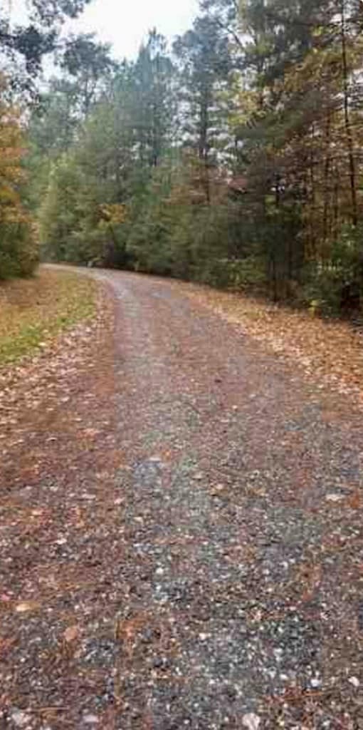 104B Beechwood Dr, Weems, VA 22576 - photo 4