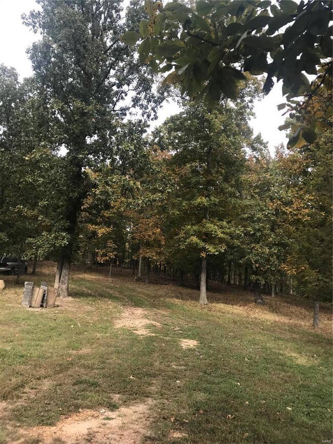 11555 County Road 7310, Newburg, MO 65550 - photo 4