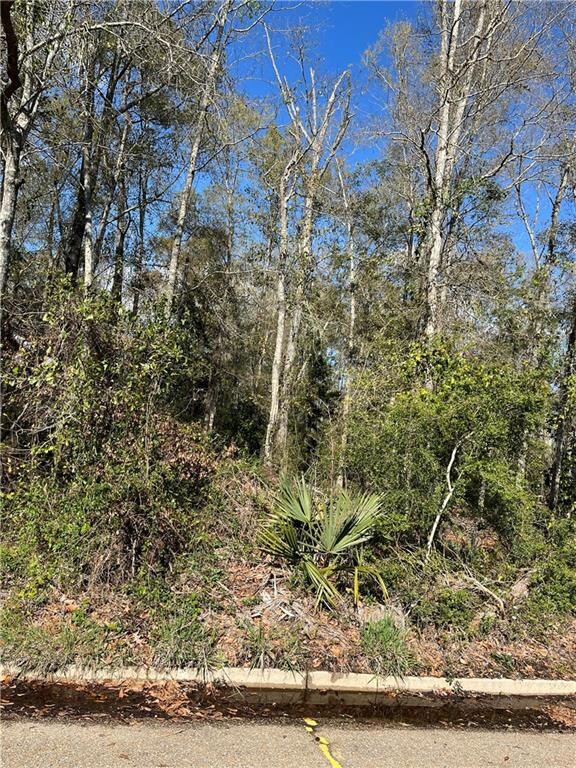 0 General Pershing St, Mandeville, LA 70448 - photo 4