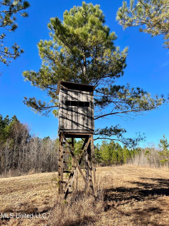 Photo Feb 09 2023, 3 00 43 PM