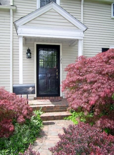 2 FRONT DOOR (462x628)