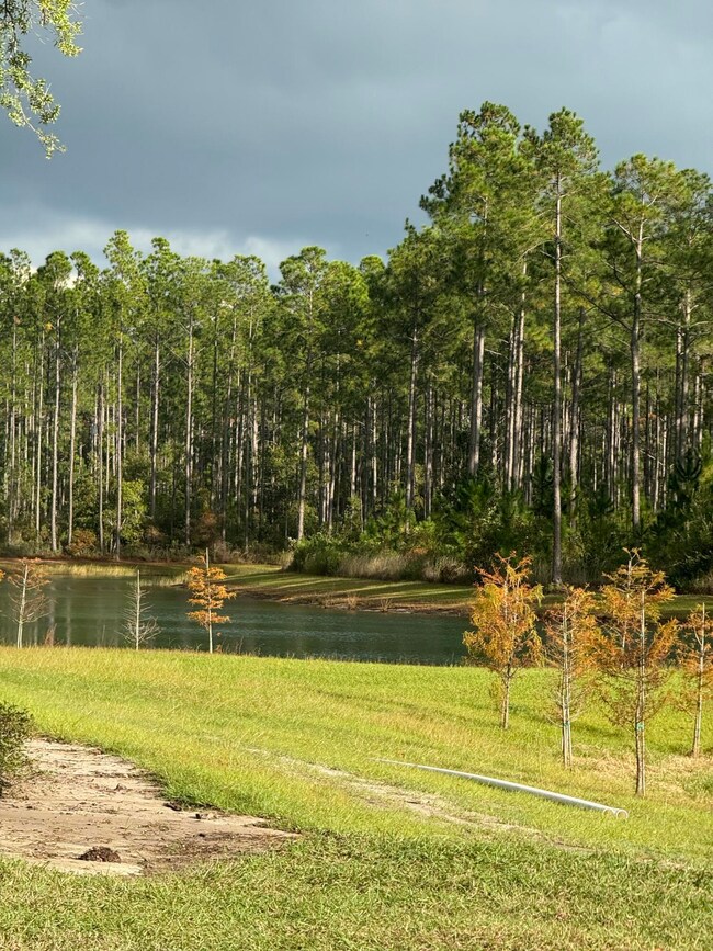 Lot 7 Reserve at Hammock Bay, Freeport, FL 32439 - photo 7