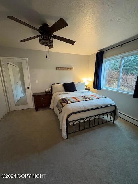 3451 Sean Circle - Main Bedroom