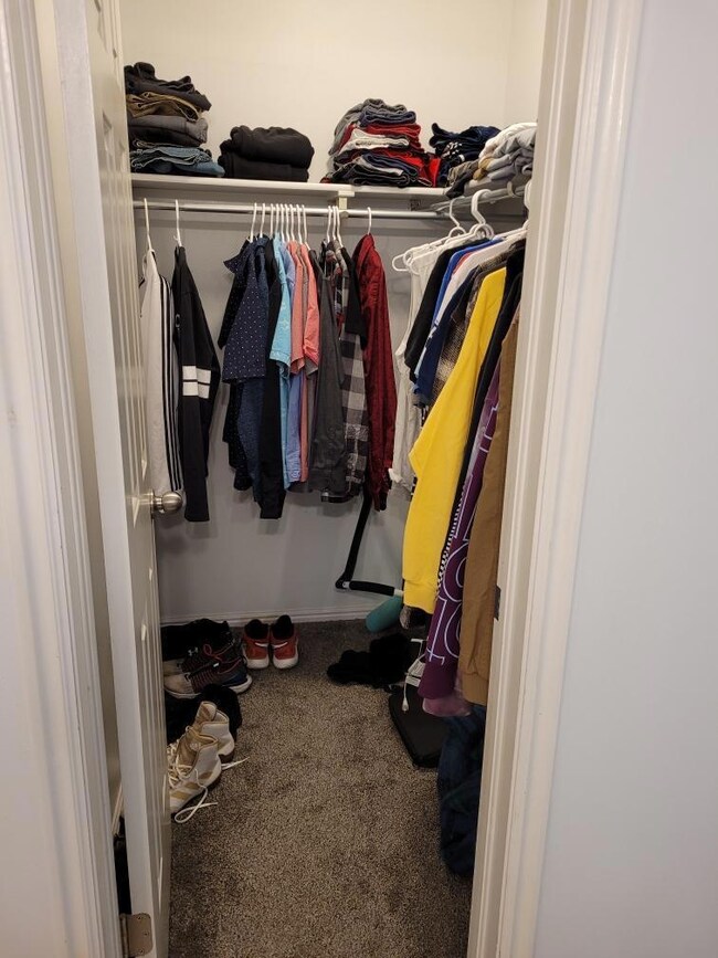 Resized_2 (3)
