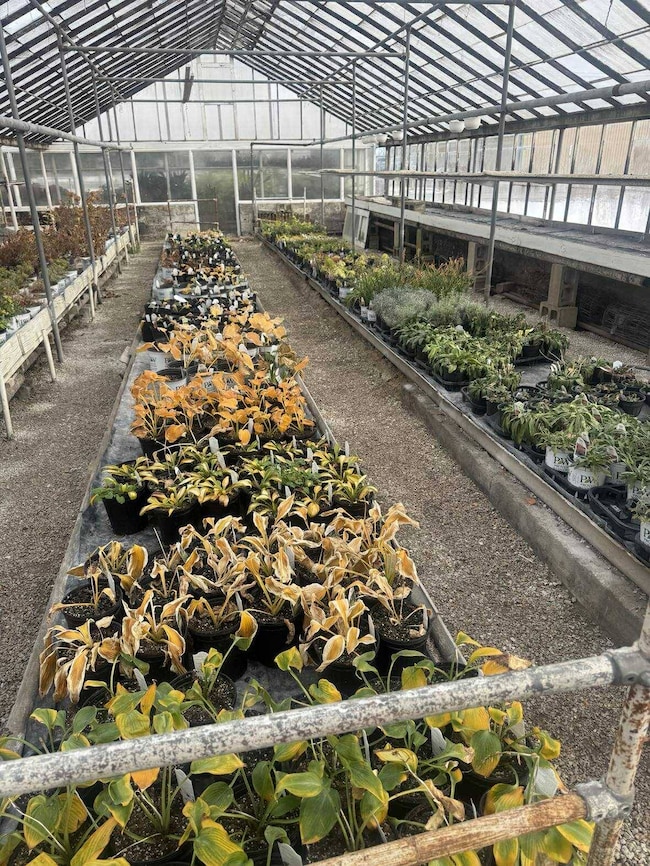 517 Grand Ave, Roodhouse, IL 62082 - photo 5