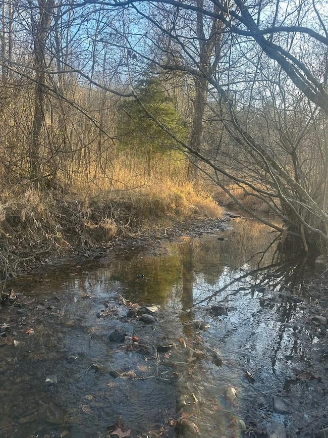 TBD Little Creek Hwy, Dublin, VA 24084 - photo 5