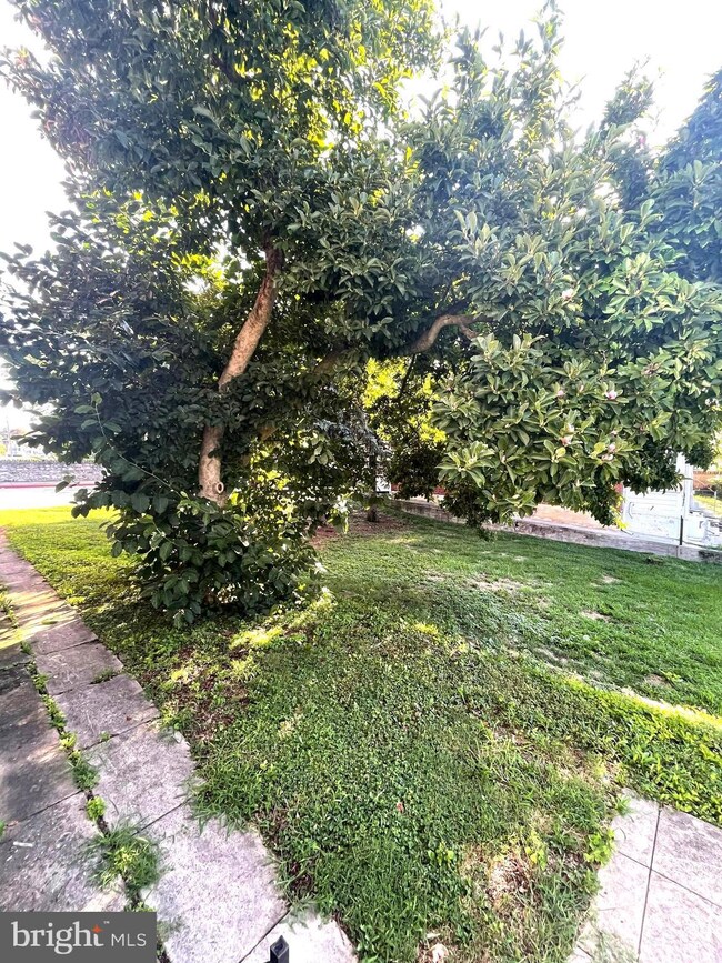 953 W Washington St, Hagerstown, MD 21740 - photo 3