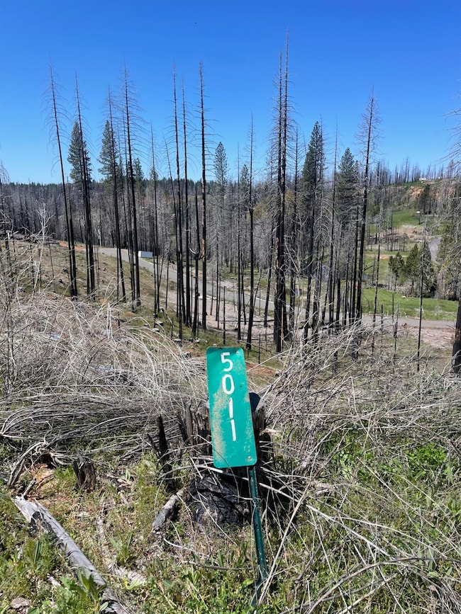 5011 Storybook Ct, Grizzly Flats, CA 95636 - photo 2