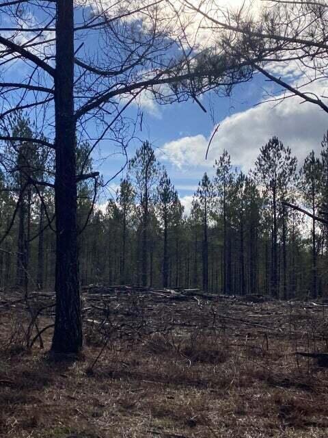 Lot 4 Thomas Springs Rd, Crossville, TN 38572 - photo 3