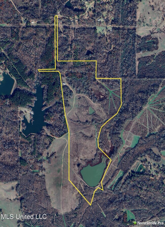 Web Site Aerial Photo