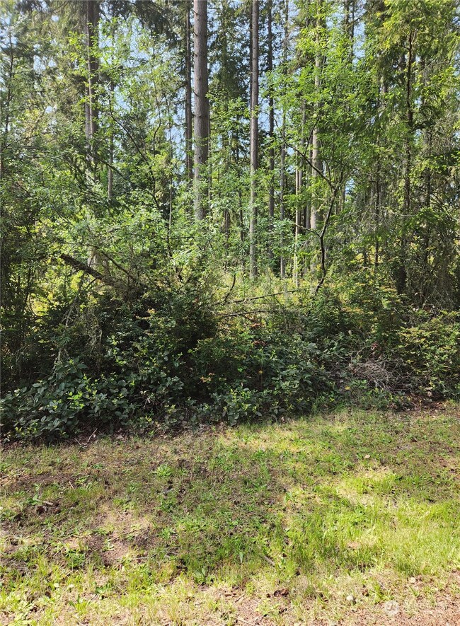 12506 Yoman Rd, Anderson Island, WA 98303 - photo 4