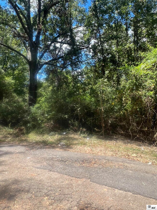 2.35 acres Penny Ln, Ruston, LA 71270 - photo 4