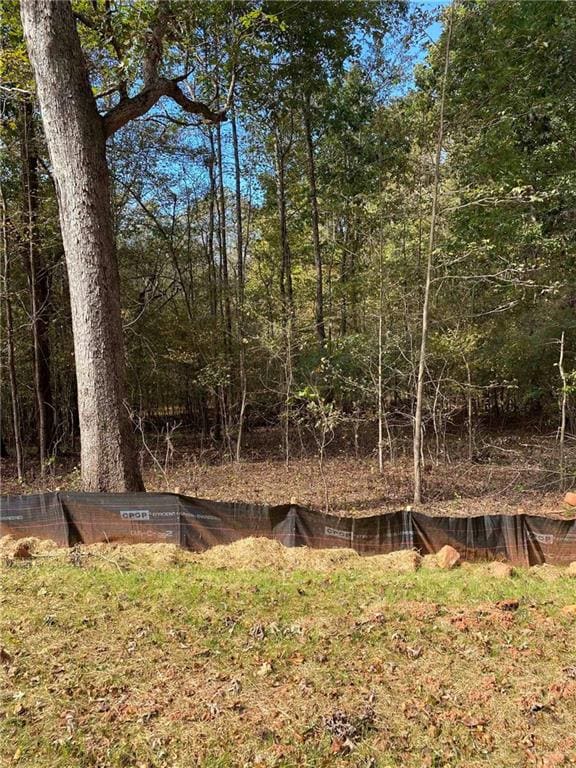 1234 Oconee River Lot 4 Dr, Jefferson, GA 30549 - photo 3