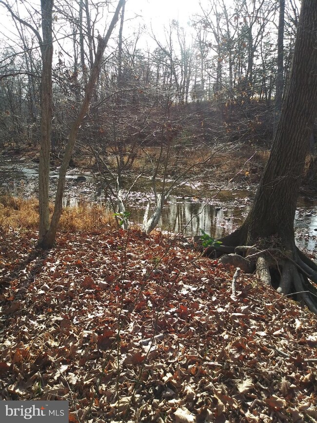 Lot #4 Little Cacapon-Levels Rd, Points, WV 25437 - photo 3