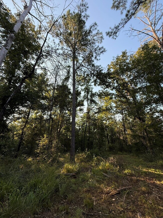 0 Sumrall Rd unit 24629681, Crystal Springs, MS 39059 - photo 6