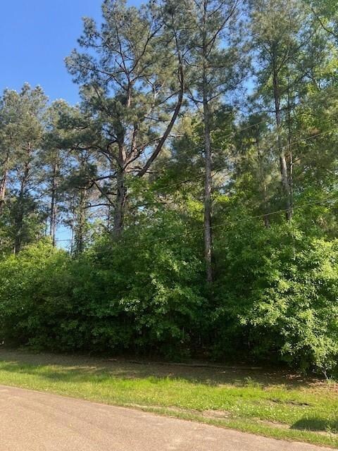 0 Raehyo Ln, Folsom, LA 70437 - photo 5