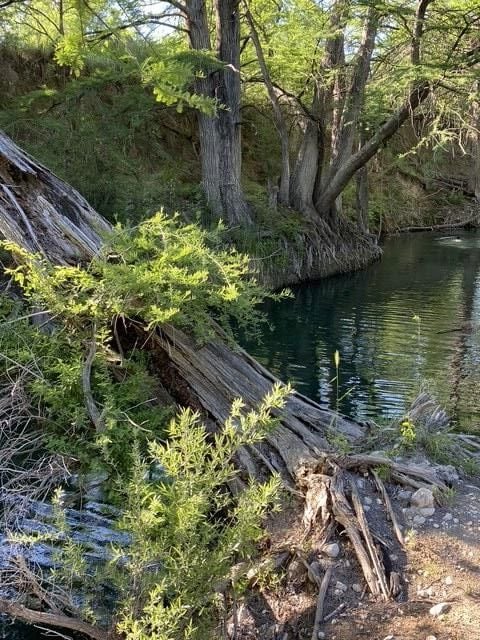 82 Private Road 3800, Utopia, TX 78884 - photo 2