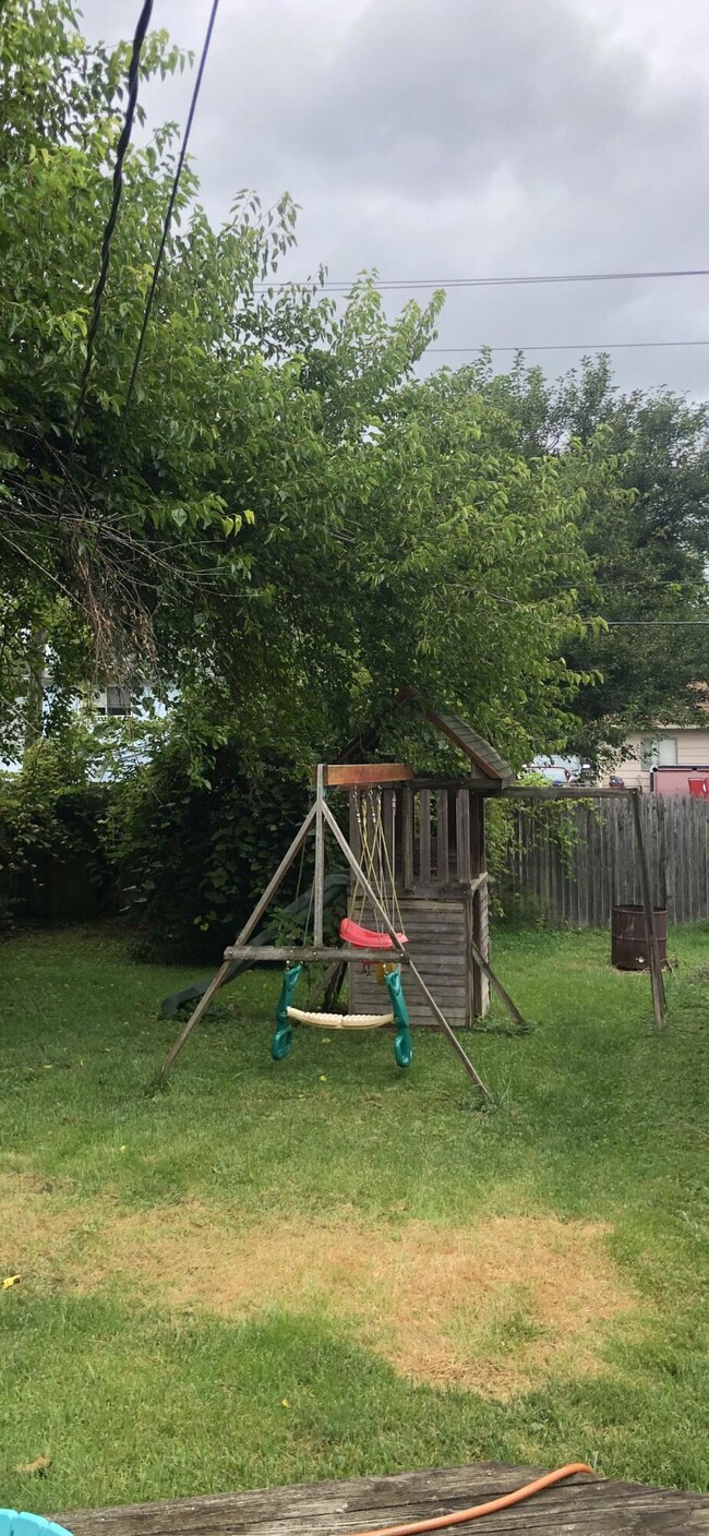 back yard