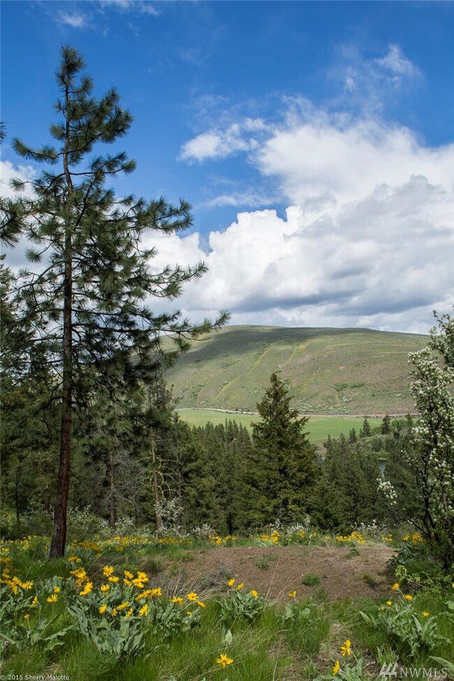 11 Whitebark Ln, Twisp, WA 98856 - photo 2