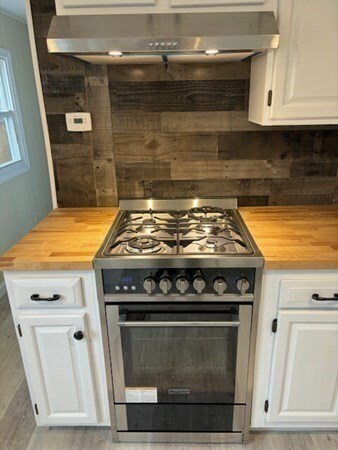 229 Miller St unit G4, Ludlow, MA 01056 - photo 4