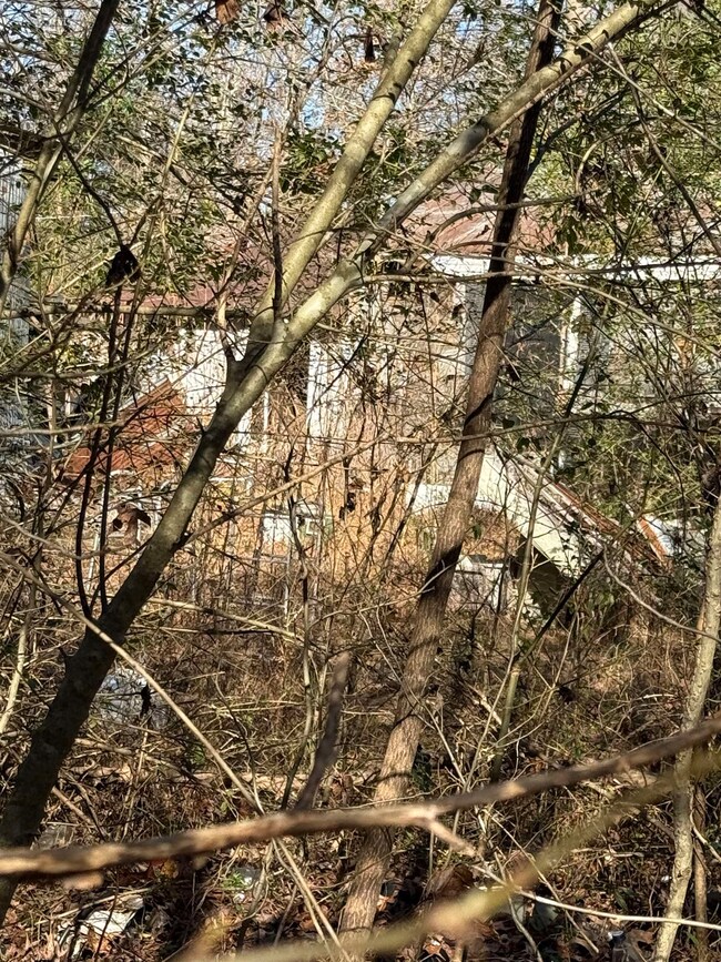 650 Person Rd, Oakland, TN 38060 - photo 4