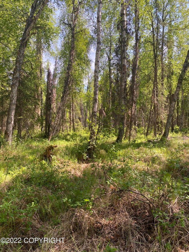 23064 W Willow Fishhook Rd, Willow, AK 99688 - photo 3