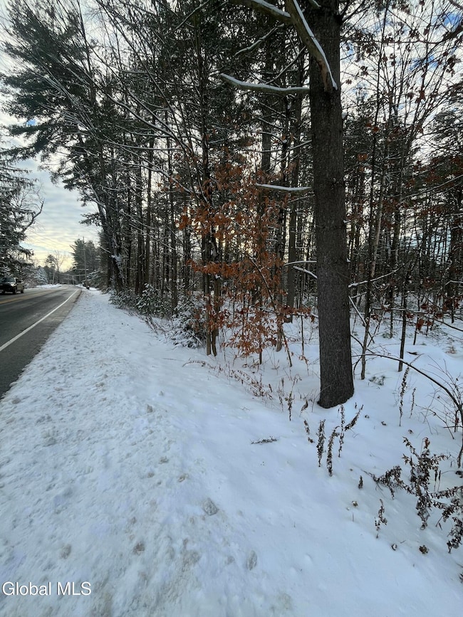 L 27.11 King Rd, Gansevoort, NY 12831 - photo 6