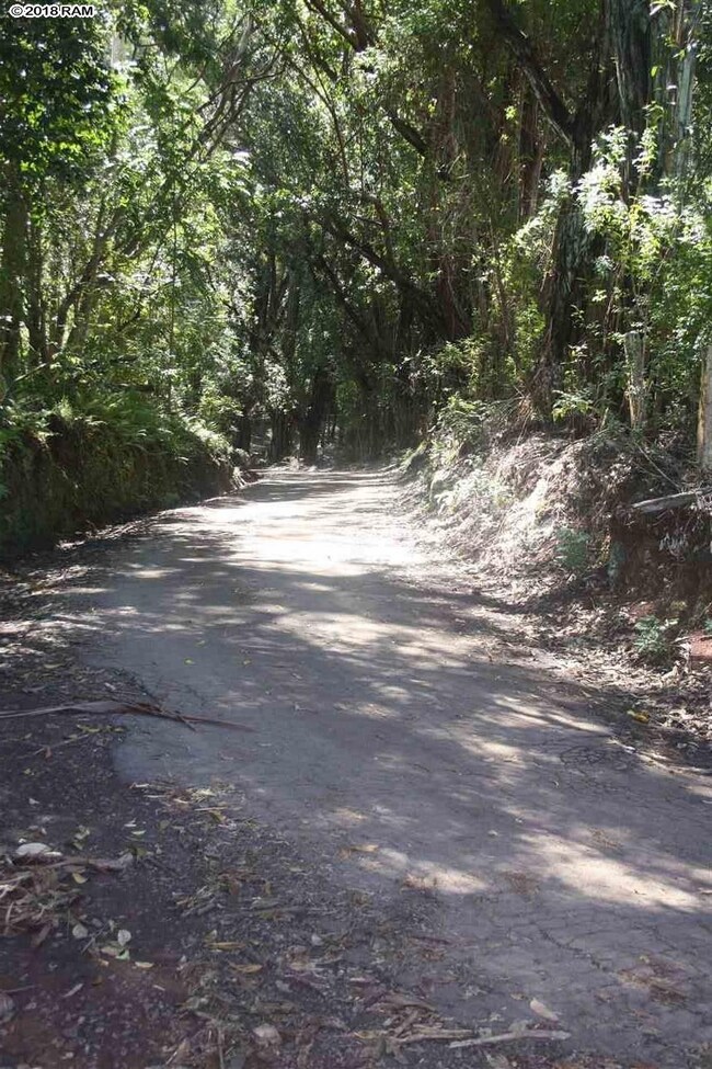 125 Ehu Rd unit E, Makawao, HI 96768 - photo 4