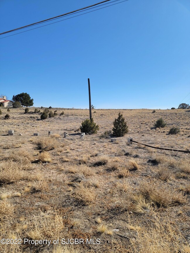 127 Road 3950, Farmington, NM 87401 - photo 4