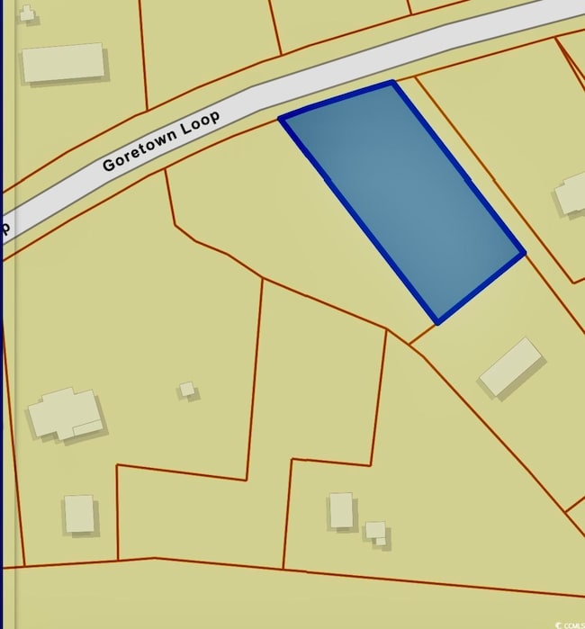 Lot 2 Goretown Loop, Loris, SC 29569 - photo 2