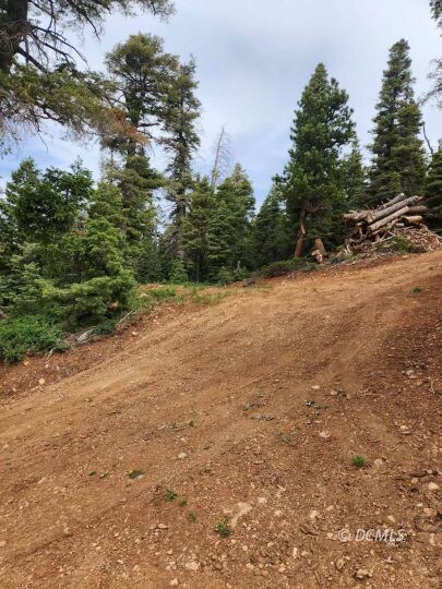 Driveway & RV Pad